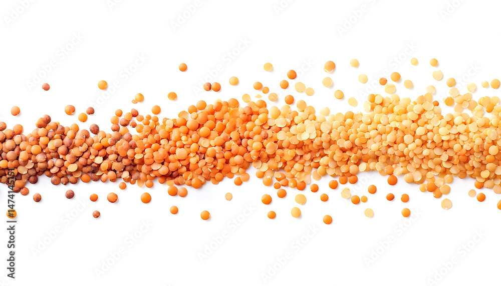 Different types of lentils isolated on white