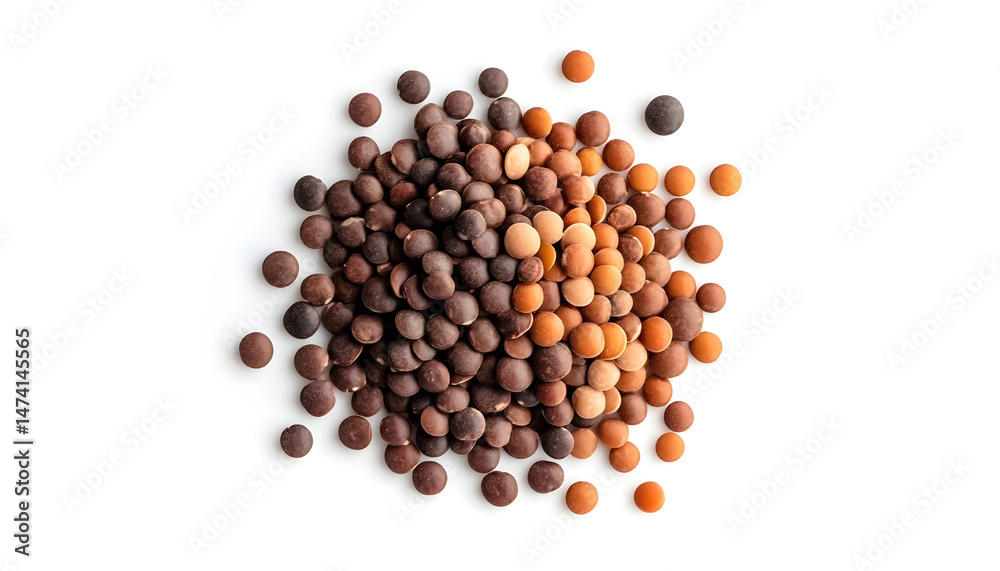Different types of lentils isolated on white