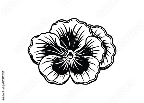 Silhouette of pansy flower isolated on a white background