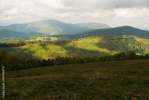 Fototapeta Naklejka Na Ścianę i Meble -  Hala Jaworowa w Beskidzie Śląskim niedaleko Szczyrk Salmopol, wiosenny poranek. 