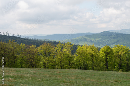 Fototapeta Naklejka Na Ścianę i Meble -  Hala Jaworowa w Beskidzie Śląskim niedaleko Szczyrk Salmopol, wiosenny poranek. 