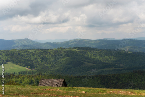 Fototapeta Naklejka Na Ścianę i Meble -  Hala Jaworowa w Beskidzie Śląskim niedaleko Szczyrk Salmopol, wiosenny poranek. 