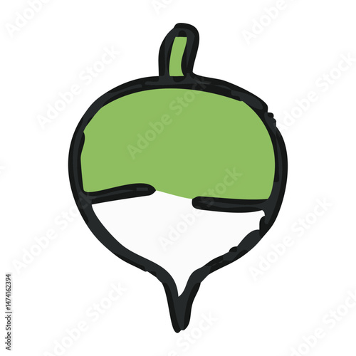 Turnip Illustration - Root Vegetable Vector Design