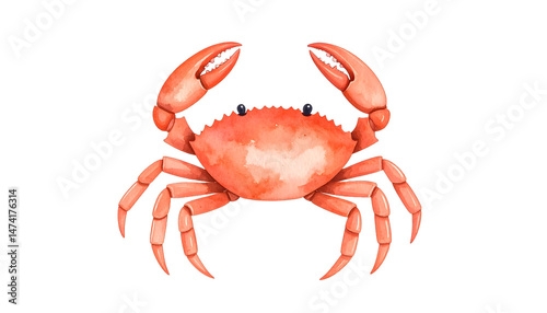 An orange crab stands with open claws in a watercolor drawing style art
