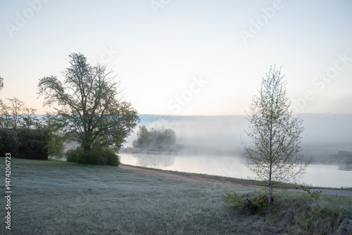 Wallpaper Mural A foggy sunrise over a tranquil riverbank with frosty grass, two trees in the foreground, and soft reflections on the water under a pale sky Torontodigital.ca