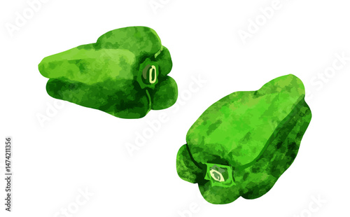 ピーマン２個のイラスト