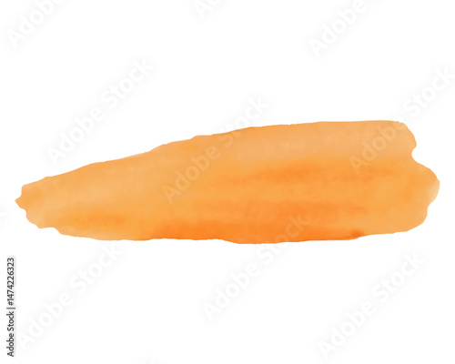 Watercolor Brush  Stroke, stain, splash, background. Vector. Isolated. Orange