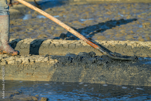 Winter work in the salt marshes