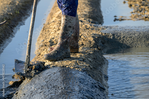 Winter work in the salt marshes