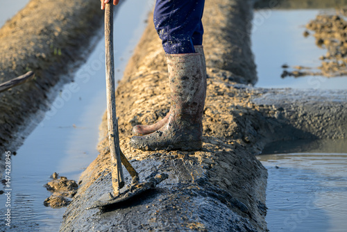 Winter work in the salt marshes