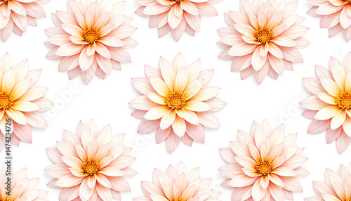 A seamless pattern featuring vibrant Dahlia flowers on a clean white background, perfect for decorative and textile designs.
