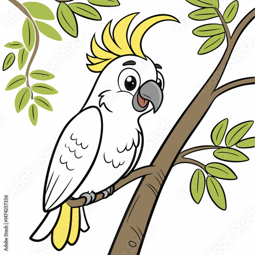 vector illustration of a parrot