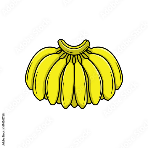 a illustration of banana