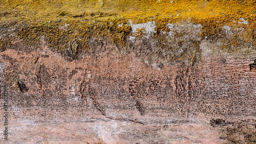 Abstract eroded wall texture with weathered paint and organic growth patterns