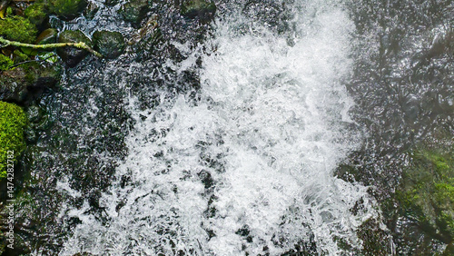 Aerial view of a vibrant freshwater stream with cascading water and mossy rocks