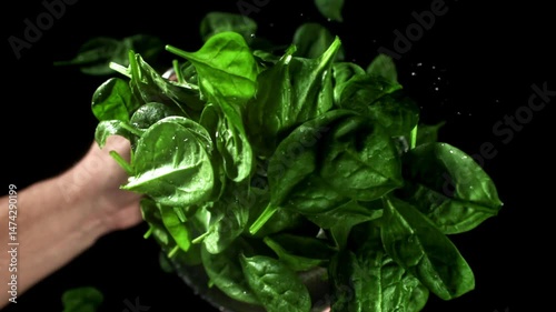 The chef tosses spinach in a saucepan. Filmed on a high-speed camera at 1000 fps. High quality FullHD footage