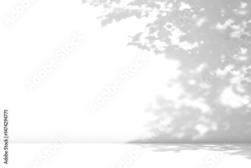 shadow overlay effects of realistic natural tree leaves shadow on white wall and floor,Summer sunlight and shadow overlay effect,shade for photo interior backdrop studio mockup