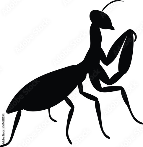 Aggressive Praying Mantis – Striking Wildlife Design in Line Art