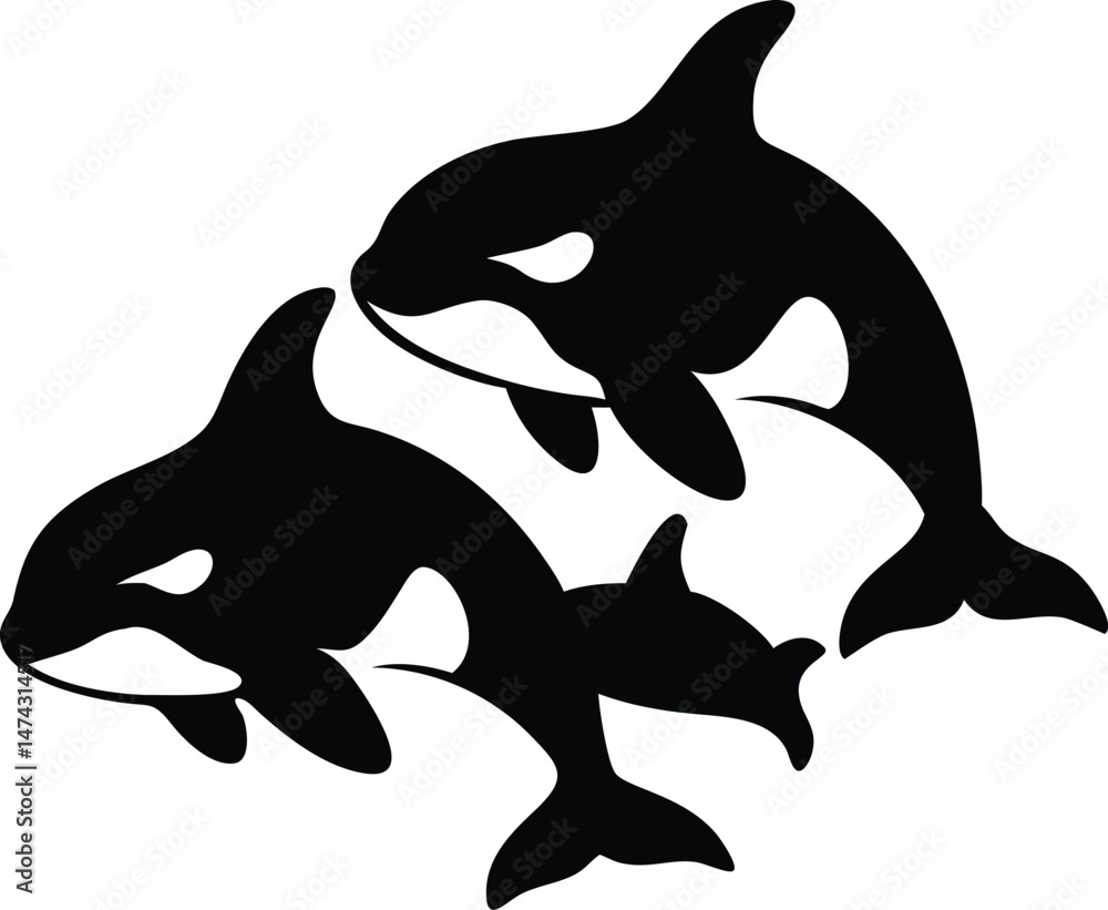 Fototapeta premium Orca Family Swimming in Unison – Elegant Marine Vector Design