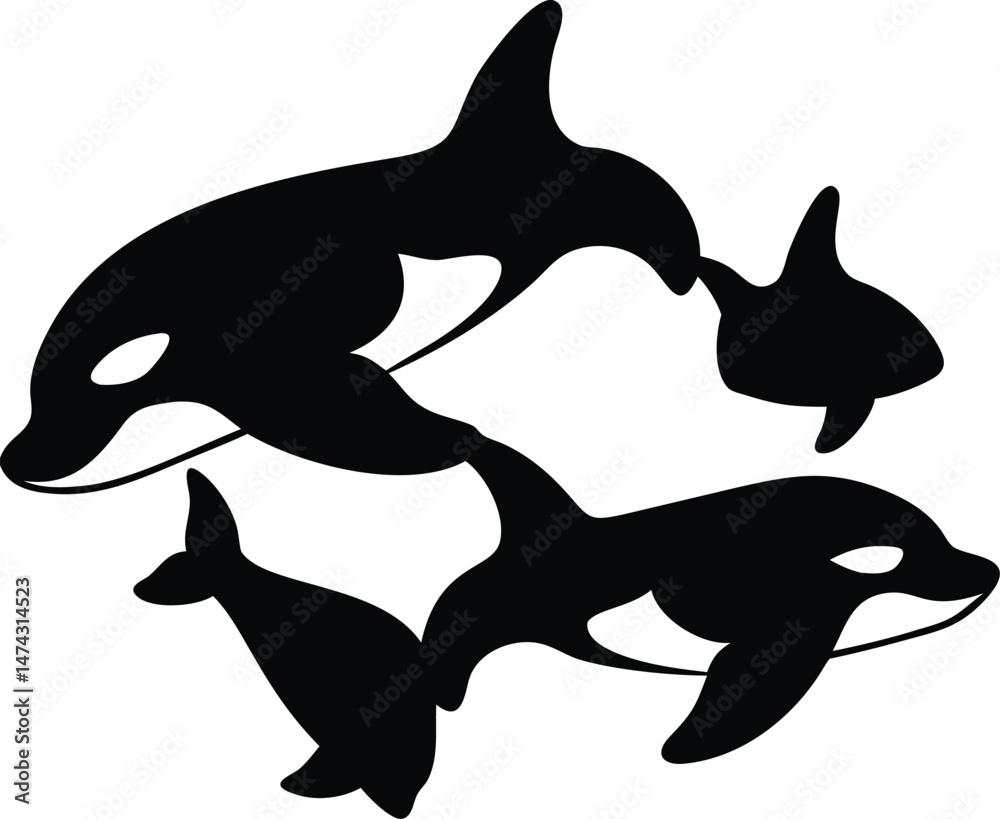 Fototapeta premium Unified Orca Family – Graceful Ocean Life Illustration