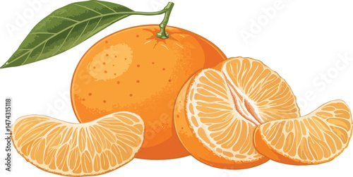 Mandarin and Mandarin slice isolated in white background vector design, Mandarin illustration vector design