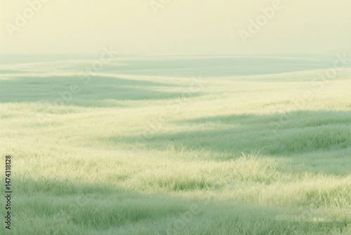 Minimal Meadow with Gentle Shadows