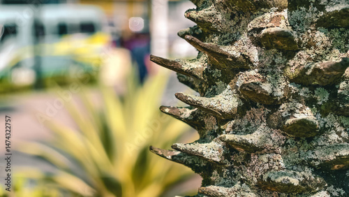 Textured trunk with blunt thorns and blurry background conveying nature