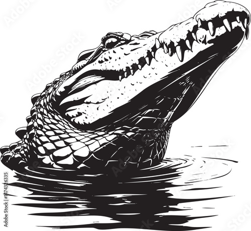 Crocodile head rising from water in monochrome vector style
