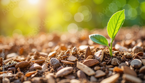 Close-up of wood chips covering soil, vibrant mood, single plant nearby in natural setting