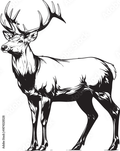 Black and white illustration of alert deer with antlers standing tall