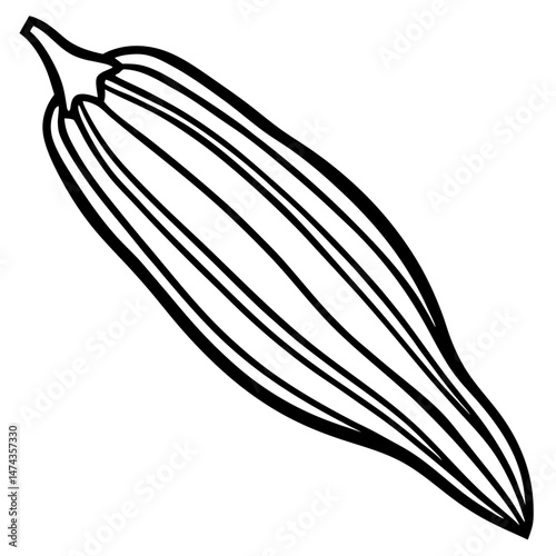 Stylized Okra Vector Illustration