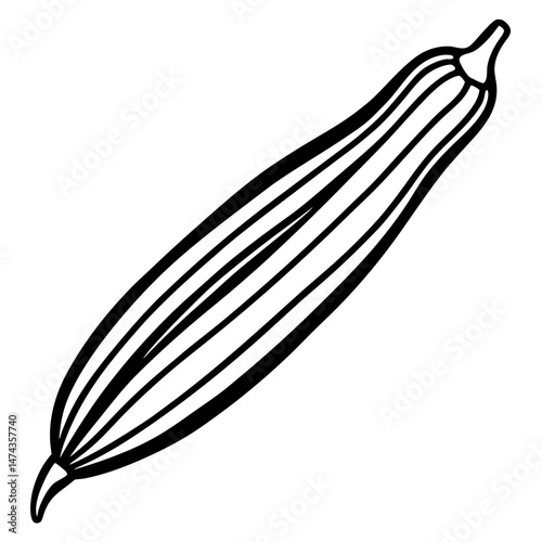 Stylized Okra Vector Illustration