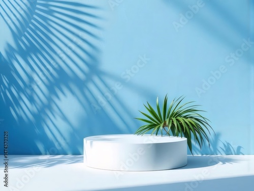 白い円筒形プラットフォームと植物の影がある青い背景のミニマルな製品ディスプレイ