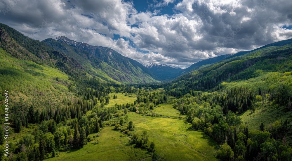 Fototapeta premium Mountain Valley Meadow