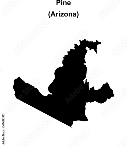 Pine (Arizona) blank outline map