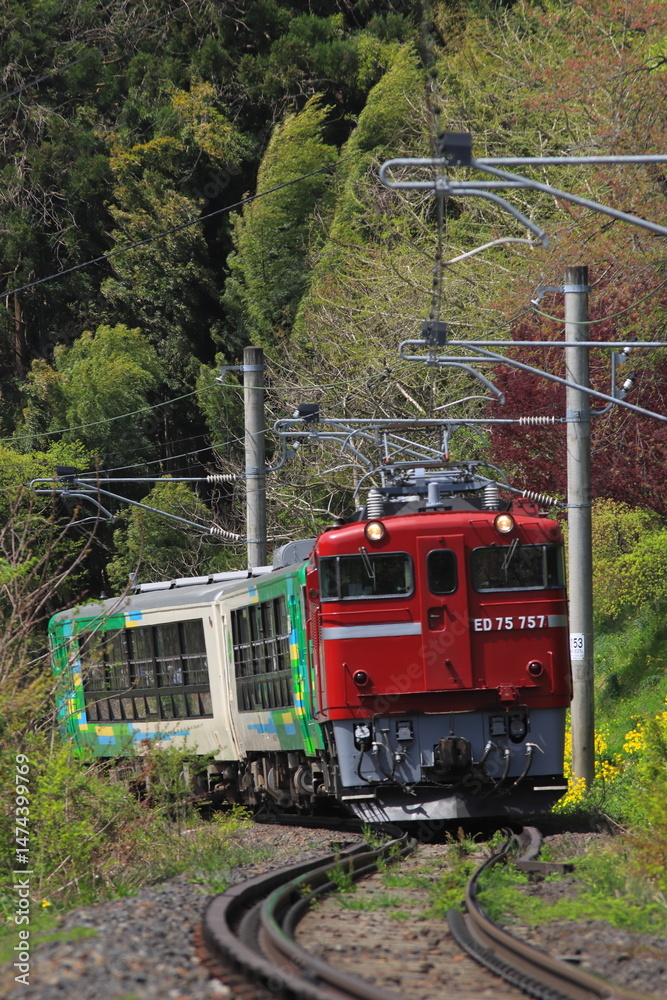 Obraz premium ED75-757号機牽引の風っこ仙山線春風号_2023/4/22撮影