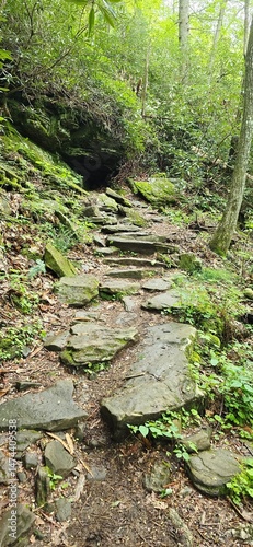 Cave in the woods 2