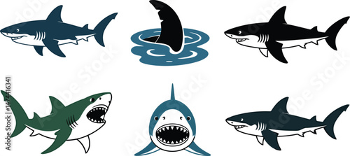 Cartoon illustrations of several different sharks including great whites and fin protruding from water