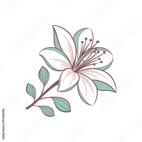 Elegant Line Art Lily Flower with Botanical Details