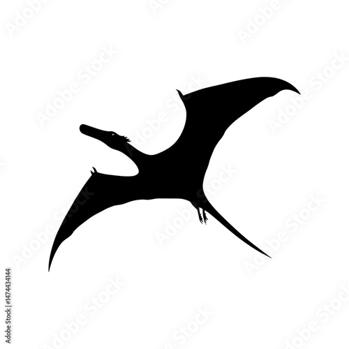 Pterosaur Silhouette: Majestic pterosaur silhouette in flight, prehistoric creature, black and white, simple design.