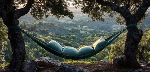 A hammock tied between two trees, soft cushions placed neatly, overlooking a peaceful valley, earthy green and blue hues