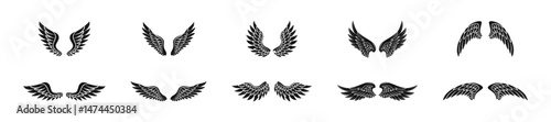 Bird wings with feathers vector flat set.