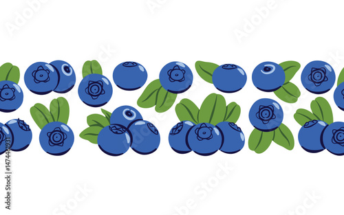 Flat Vector Blueberry Border on White Background