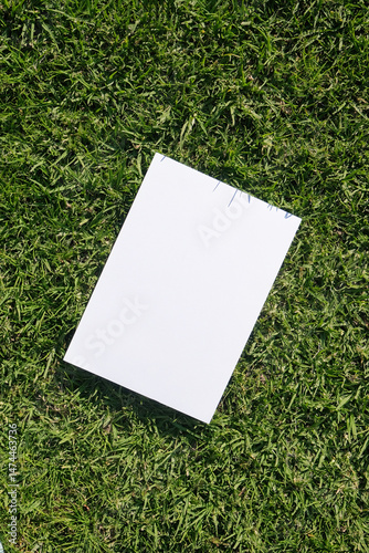 Mockup blank poster on green grass background
