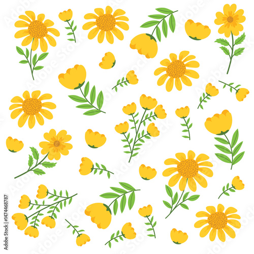 Flower Floral Art Spring Summer Ornament Element Pack