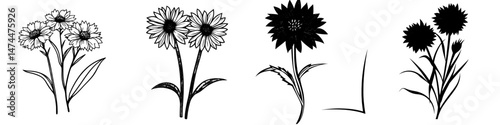 Cornflowers are depicted in silhouette form and appear in isolation against a white backdrop with vibrant colors