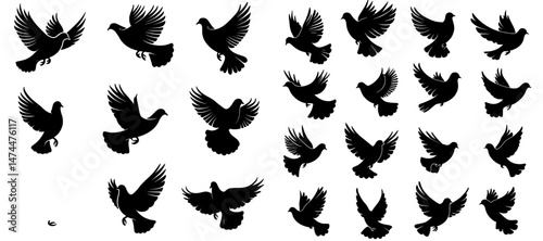 Isolated modern silhouettes of doves in flight symbolize love and peace, along with pigeons