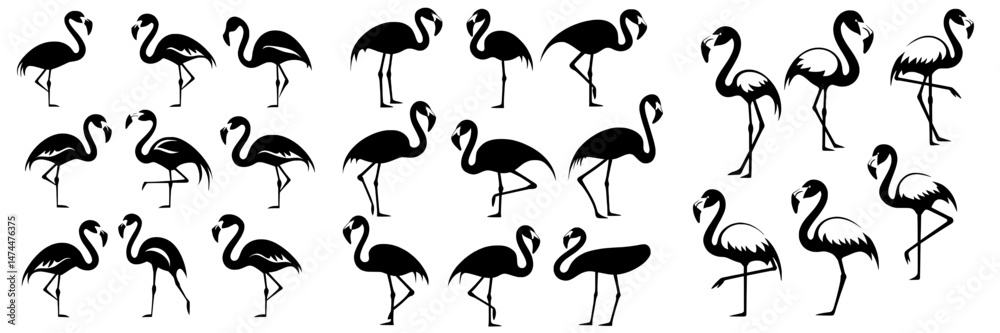 Naklejka premium Silhouettes of pink flamingos set against a white backdrop