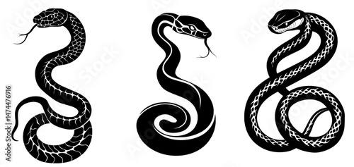 A black silhouette of a snake is depicted on a white background as an isolated symbol or icon, representing an abstract sign in a modern illustration style