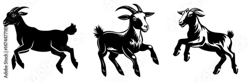 Gazelle or antelope isolated animal silhouette